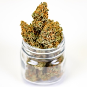 Cannabis médical