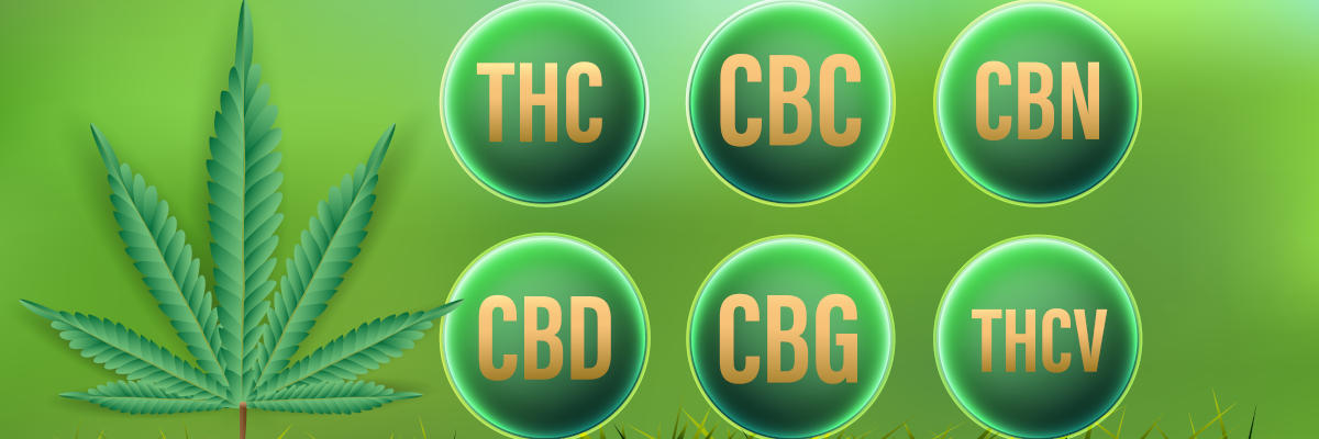 Les cannabinoïdes majeurs CBD, THC, CBC, CBN, CBG, THCV